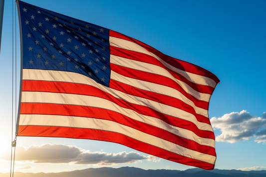 Freedom Friend Sponsor